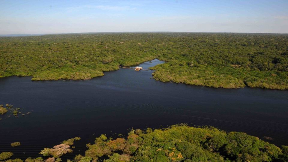 Observação de Jacarés e Pesca de Piranhas foto 5