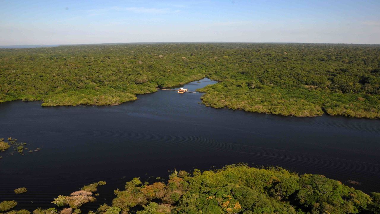 Focagem De Caimanes E Pesca De Piranhas (4)