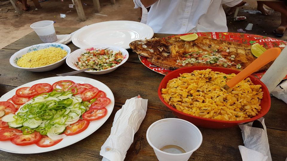 Parque Nacional de Anavilhanas: Caminhada pelo Arquipélago foto 6