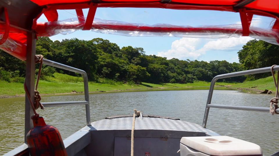 Parque Nacional de Anavilhanas: Caminhada pelo Arquipélago foto 5