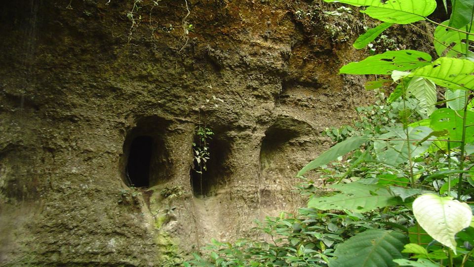 Cataratas Presidente Figueiredo: Caminhada com Almoço foto 4