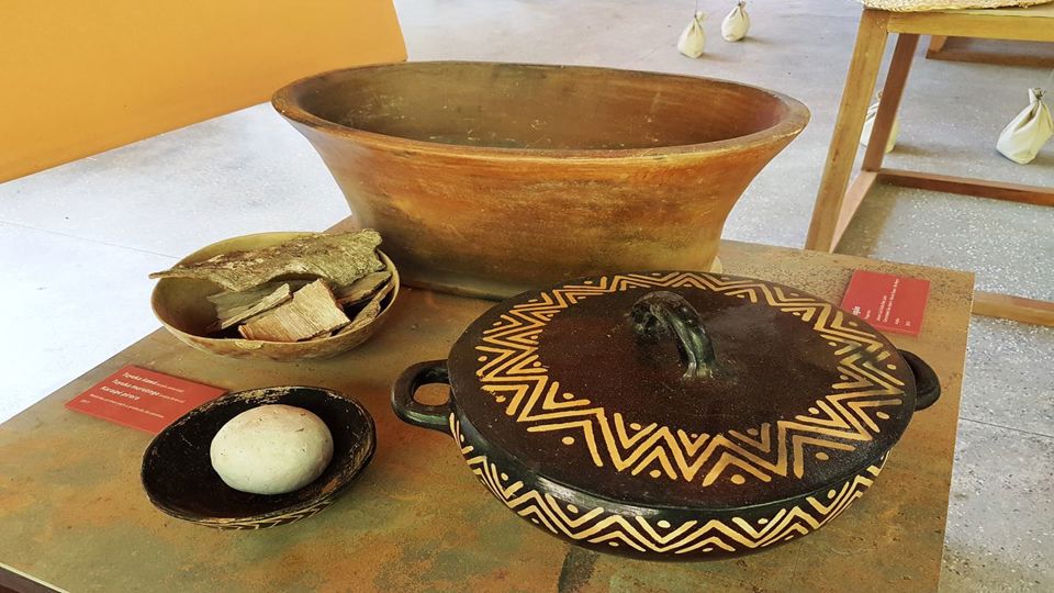 Dia de Museus Naturais Inpa e Musa na Amazônia foto 10