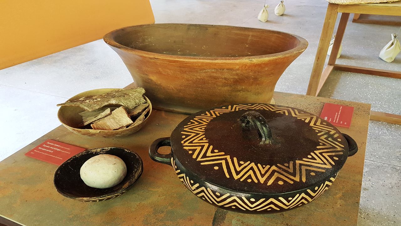 Combo Dos Museus Naturais Da Amazônia (Inpa E Musa)
 (9)