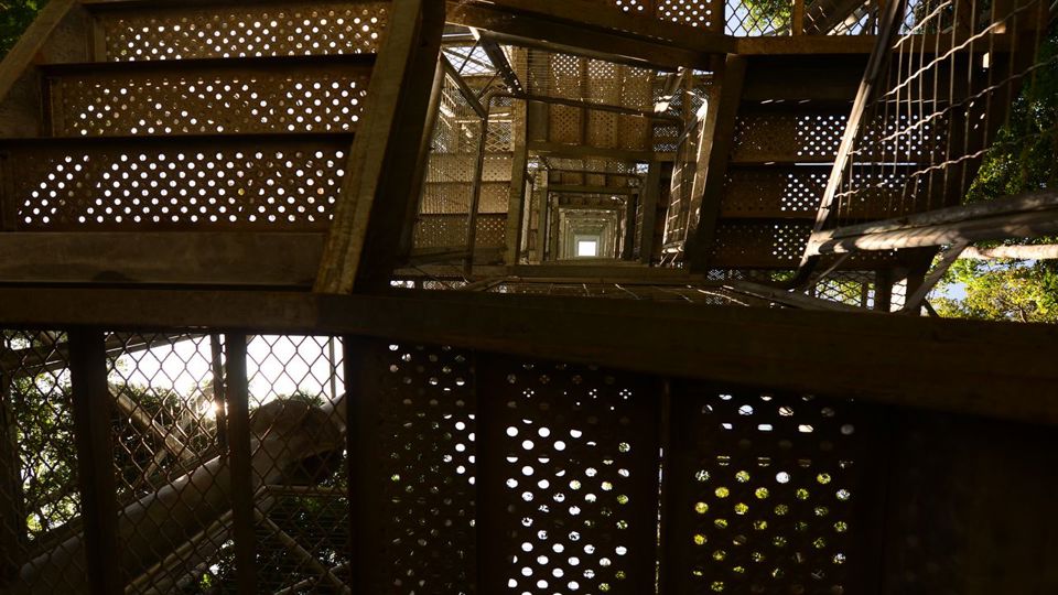 Dia de Museus Naturais Inpa e Musa na Amazônia foto 4