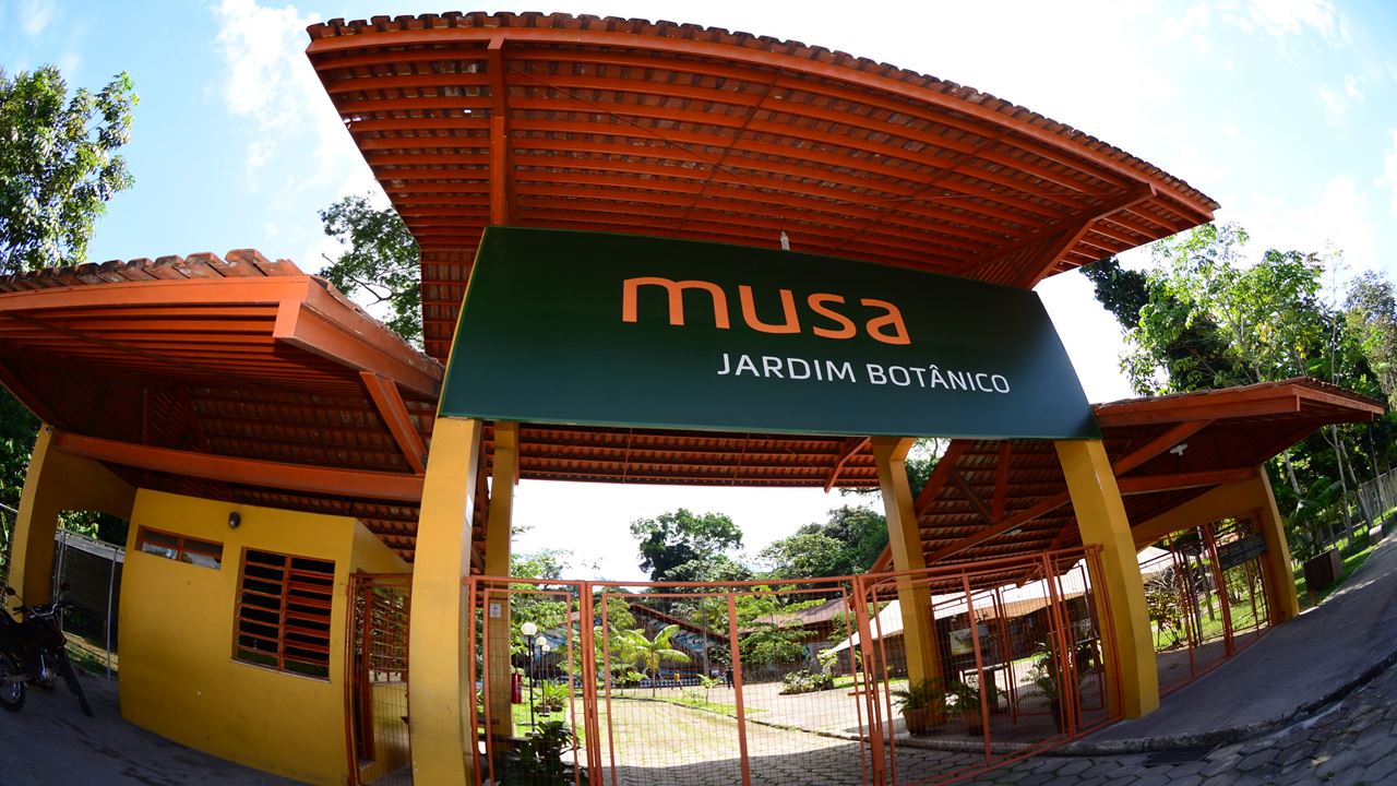 Combo Dos Museus Naturais Da Amazônia (Inpa E Musa)
 (2)