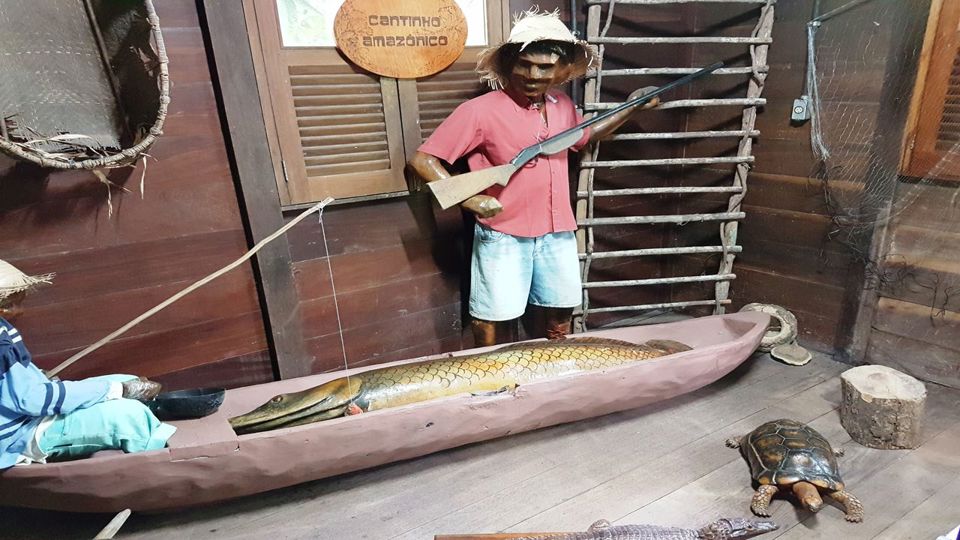 Dia de Museus Naturais Inpa e Musa na Amazônia foto 11