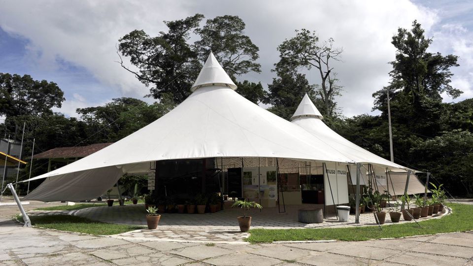 Dia de Museus Naturais Inpa e Musa na Amazônia foto 6