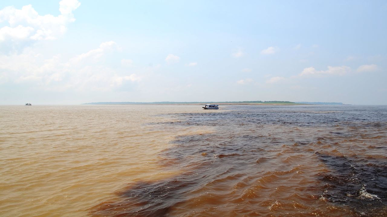 Encuentro De Las Aguas + Nado Con Delfines + Visita Aldea Aborigen (1)