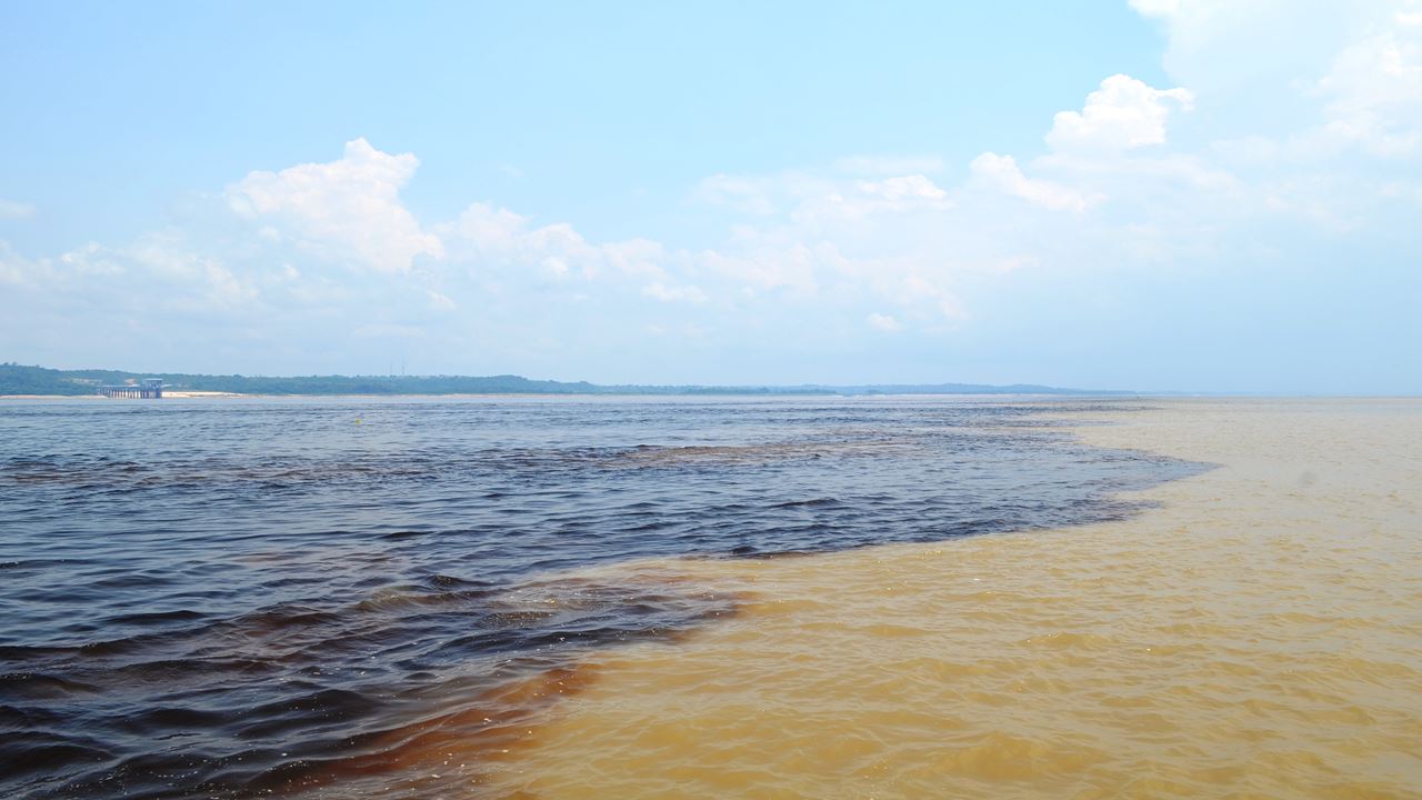 Encuentro De Las Aguas + Nado Con Delfines + Visita Aldea Aborigen (5)