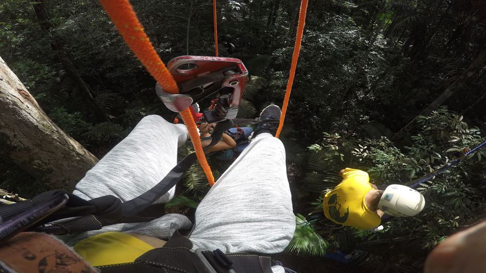 Tree Climbing in the Amazon foto 3