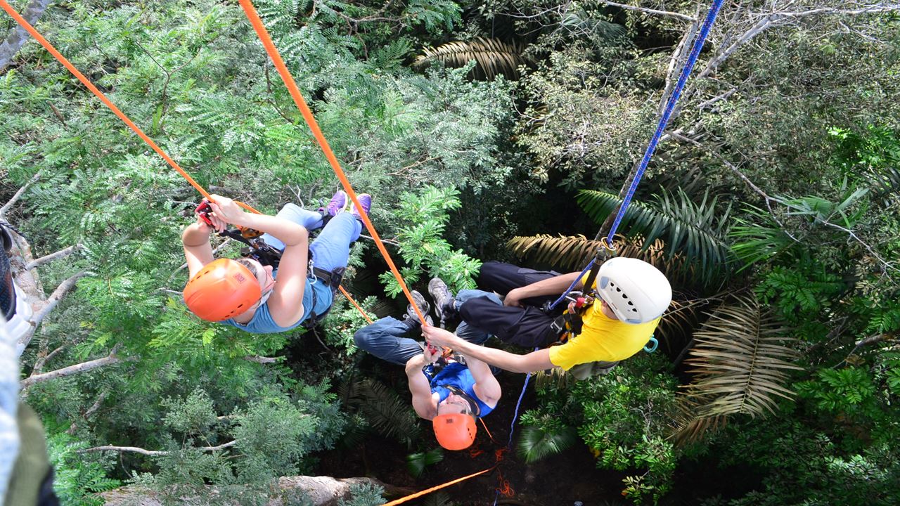 Arvorismo Na Amazônia
 (1)