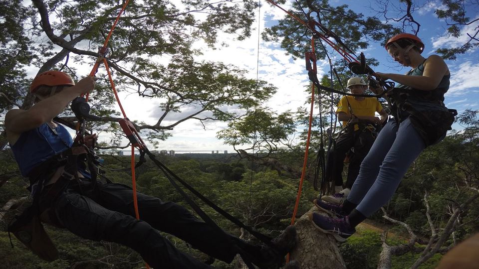 Tree Climbing in the Amazon foto 4