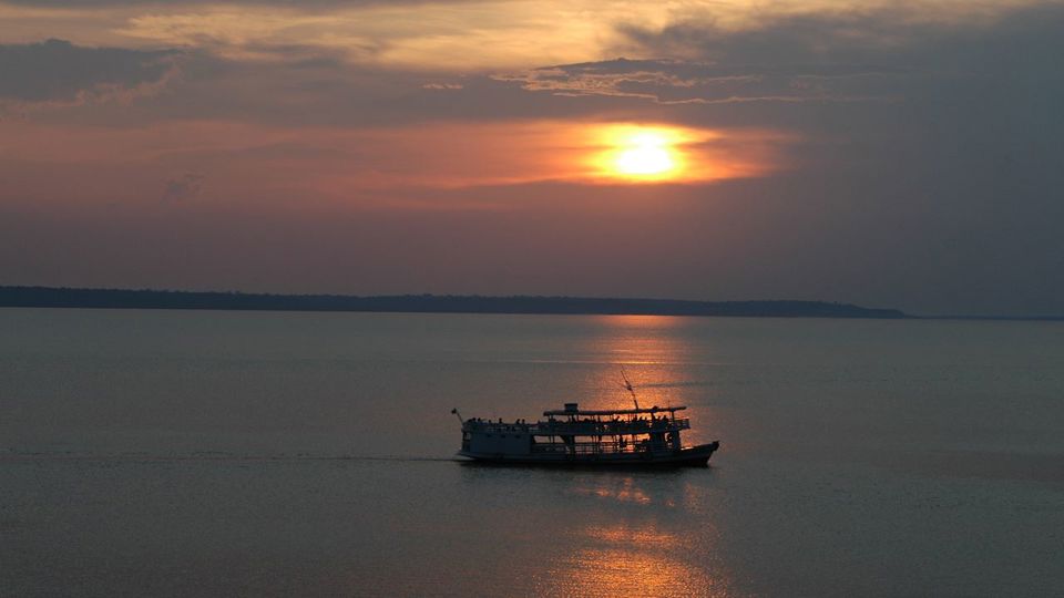 Observação Noturna de Jacarés na Selva Amazônica foto 3