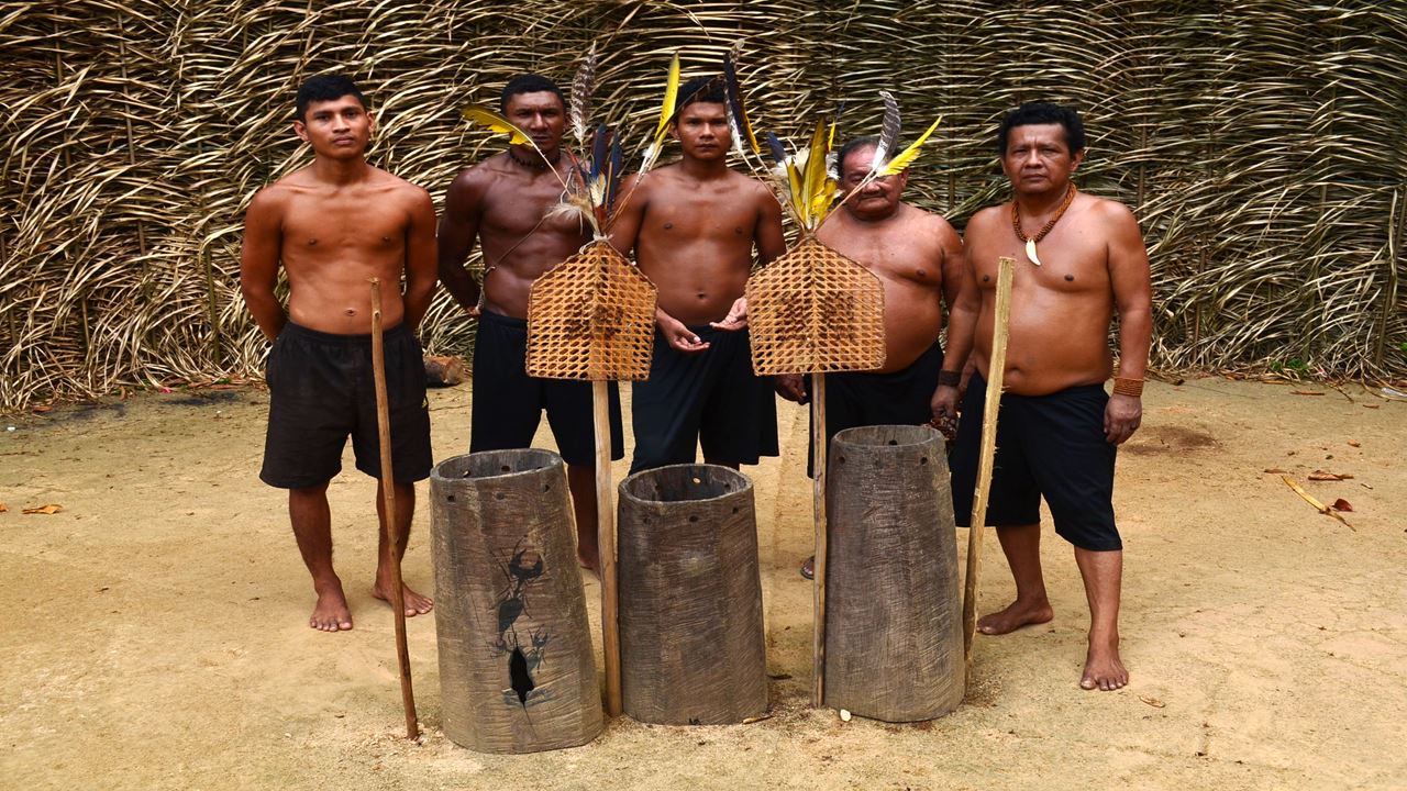 Ritual De Formigas Na Tucandeira Na Amazônia (5)