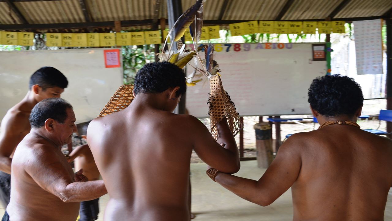 Ritual De Formigas Na Tucandeira Na Amazônia (3)