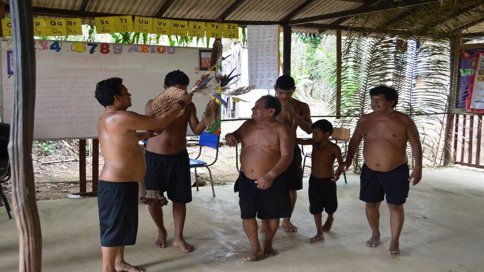 Tucandeira Ant Ritual in the Amazon foto 5