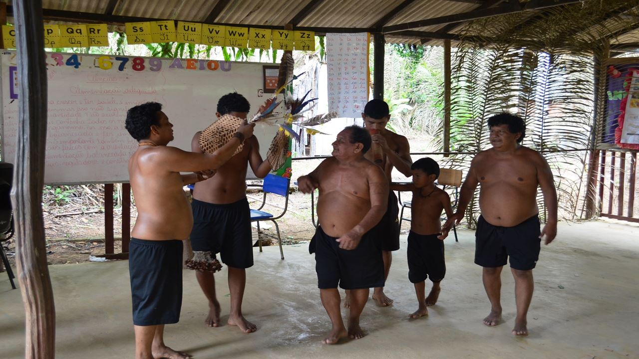 Ritual De Formigas Na Tucandeira Na Amazônia (4)