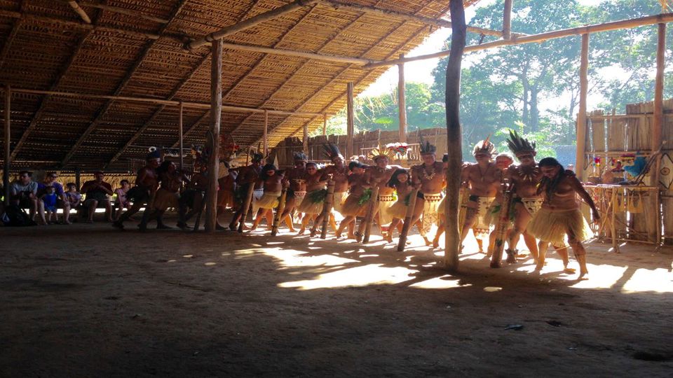 Dia de Sobrevivência na Selva Amazônica foto 6