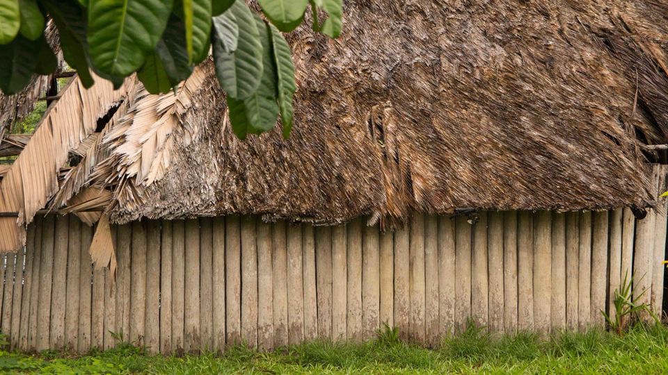 Dia de Sobrevivência na Selva Amazônica foto 4