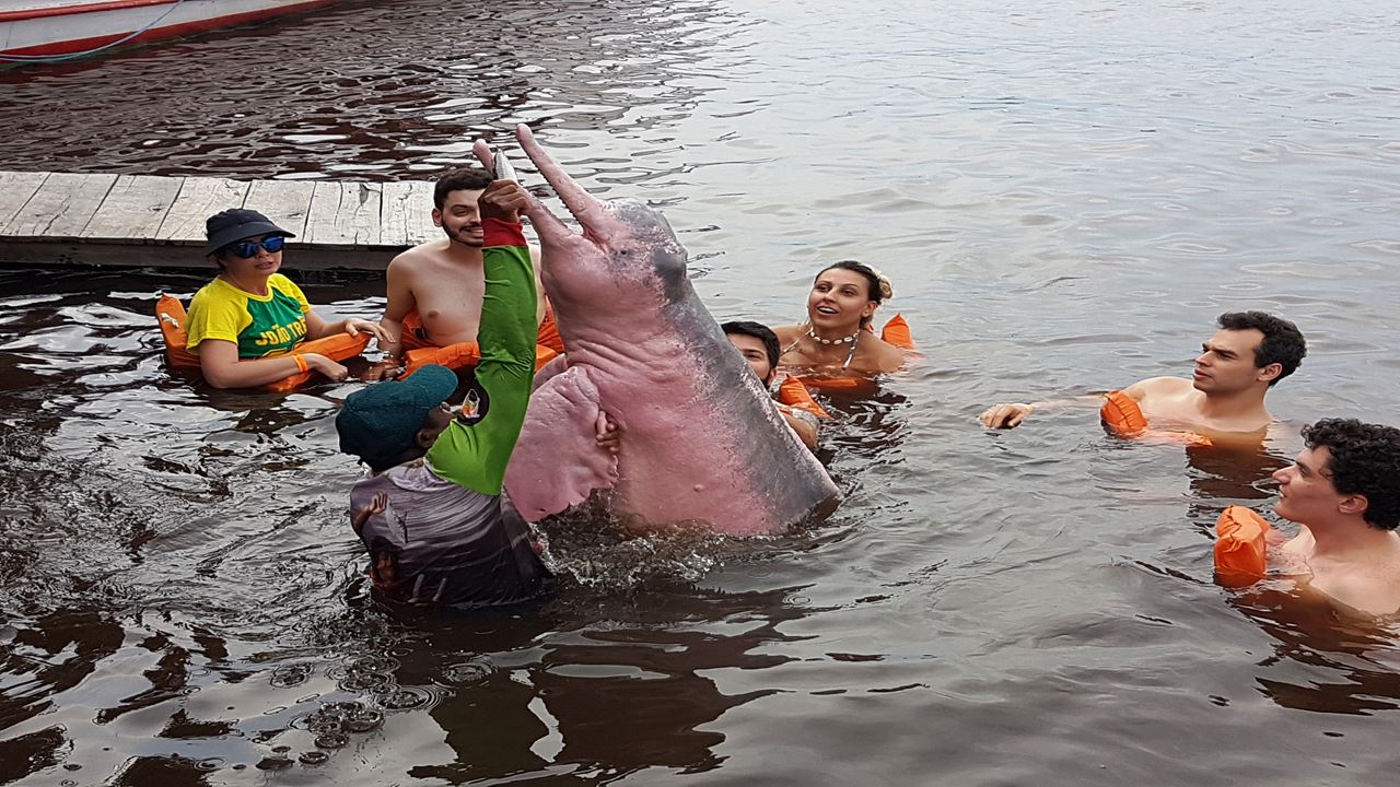 Paquete Manaus Classico foto 4