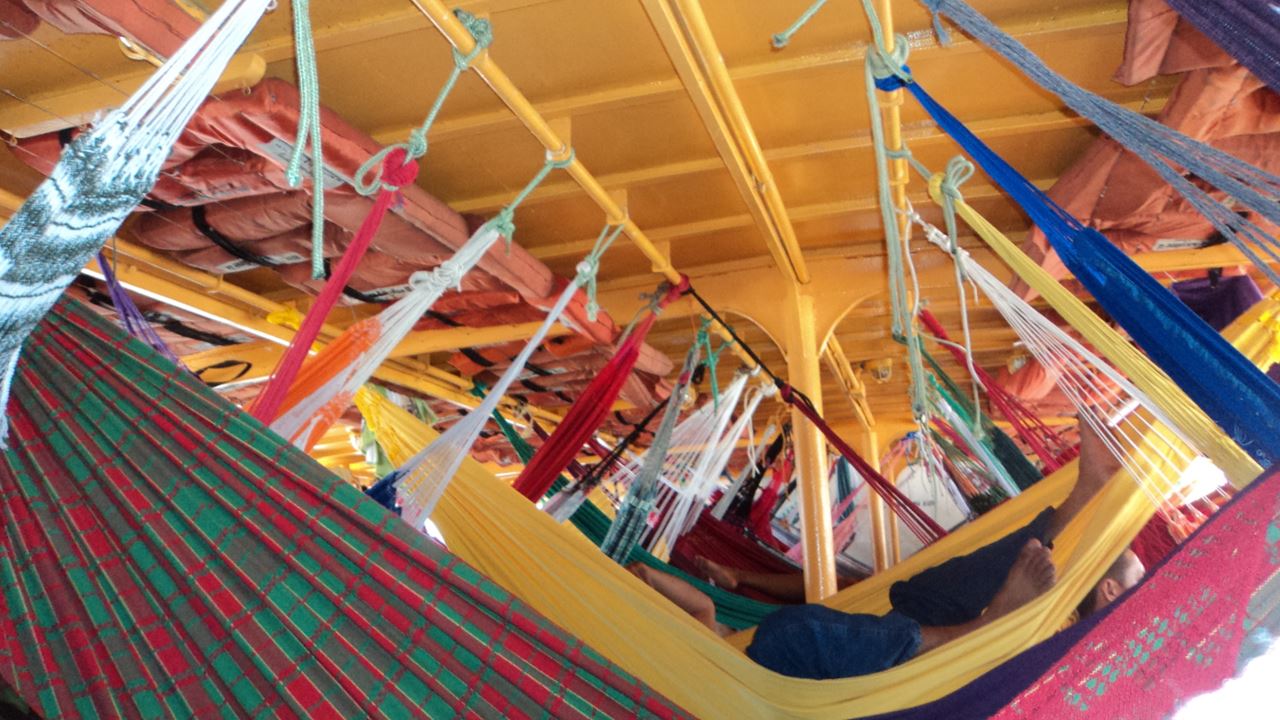 From Manaus To Belém: A Boat Trip Along The Amazon River foto 2